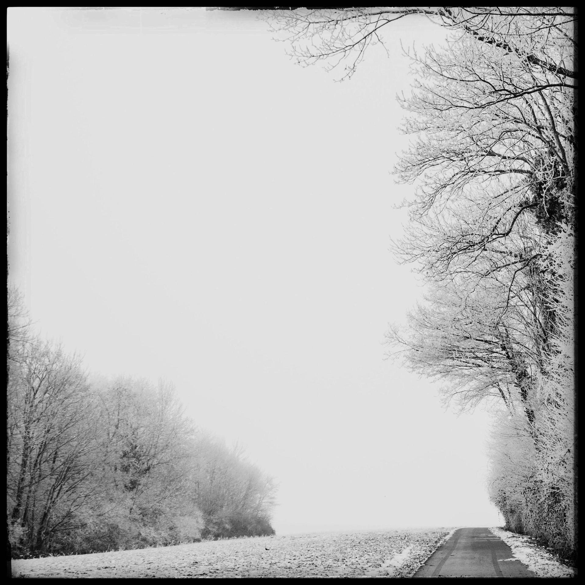 Elapse - God Rest Ye Merry Gentlemen