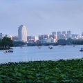 普通大学生小张 - 一块一本