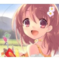 二次元最新版本