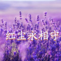 追梦 - 红尘永相守