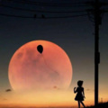汐汐、匹诺晨 - 老人与海
