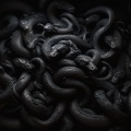 Orora - BRAIN CUT
