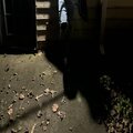 Playboyron - aint talm bout nan (Explicit)