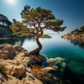 睡眠音乐 - 蝉鸣和海浪声