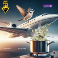 Musik (Explicit)