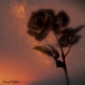 Siwa、Lifive - Great for me (feat. Lifive) (Explicit)