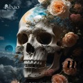 Virgo - war