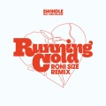 Swindle - Running Cold [feat. Terri Walker] (Roni Size Remix)