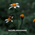 Nature Awakening