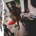 jRocky So6 - Im Tryn Slide (Explicit)