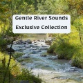 River Noise ASMR - Sound of Water Relief
