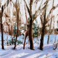 Snowday