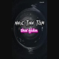 nguyễn văn mạnh - Nhạc Tịnh Tân thư giãn