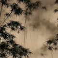 颜王词洺 - 一连十六卦