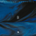 海獭 - 阿拉斯加海湾 (Demo)