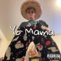 The Jennifer Lawrence Vipers - Yo Mama (Explicit)