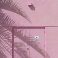 村头树女士 - 勇气