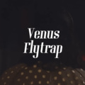 海灯Kaito - Venus Flytrap