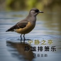 宁静之亭静谧排箫乐