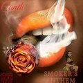 Trooper、BigCandi - Smoker's Anthem