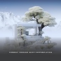 Connect Through Quiet Contemplation
