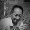 芒果 - 送别