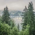 李呵呵 - 当我踏入这片孤岛