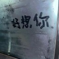 彭小琪、zr - 梦的出口