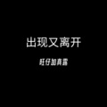 旺仔加真露 - 出现又离开