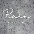 Paws in Rain Serenity: Calming Feline Melodies