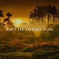 Music for Academic Bliss: Firelight Harmony