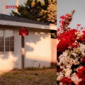 Crypton - Memories