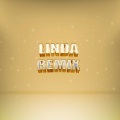 dj roman - Linda (Remix)