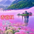 春意叹(花鼓戏)花石调