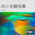 冯小龙 - 其实都没有