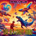 Merdly Relax - Life is a crazy thing
