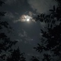 Kirsty刘瑾睿 - 若把你