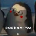 瑶夭 - 玫瑰星云