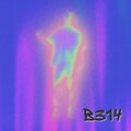 B314 (Explicit)