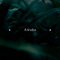 Awake