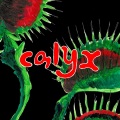 Calyx - M.G.E.P