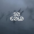 Tyler H、Amvis - So Cold (feat. Amvis)