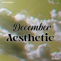 Musisihalu、RJ Pasin - December Aesthetic