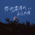 林萍 - 你的柔情我永远不懂
