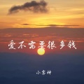 爱不需要很多钱