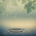 Weather Man、Soothe Sounds、Rain Sounds for Life - Meditation Droplets Rain Drift