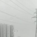 wither (Explicit)
