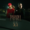 Paharul sus (From Miami Bici 2 The Movie)