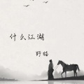 野猫 - 什么江湖