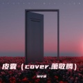 孙守靖 - 皮囊